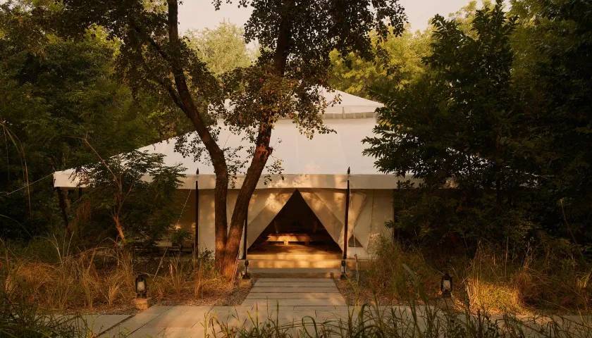 aman-i-khas-luxury-camp-ranthambore