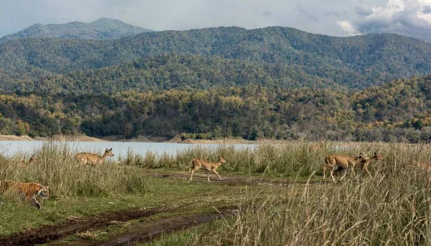 Ranthambore Jim Corbett Tour With Agra