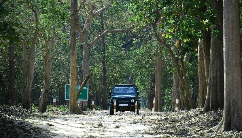 dudhwa-national-park