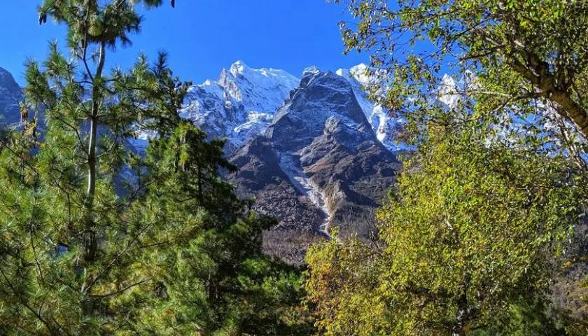 gangotri-national-park-uttarakhand