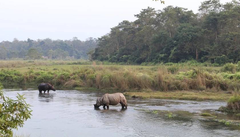 Kaziranga National Park, India