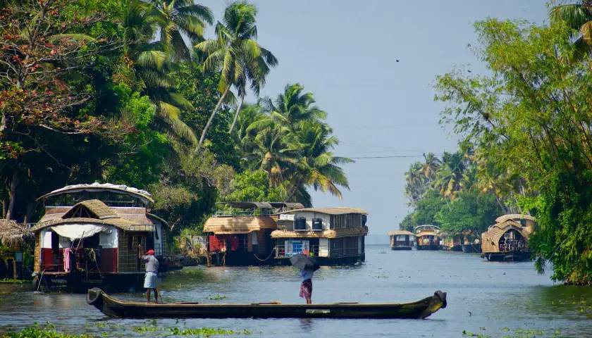 Taj Tigers and Kerala Tour