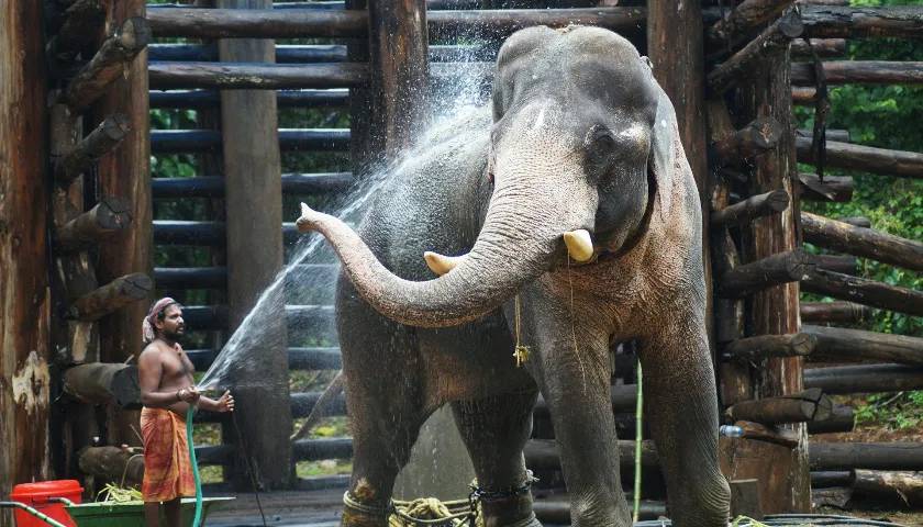 Kodanad, Kerala