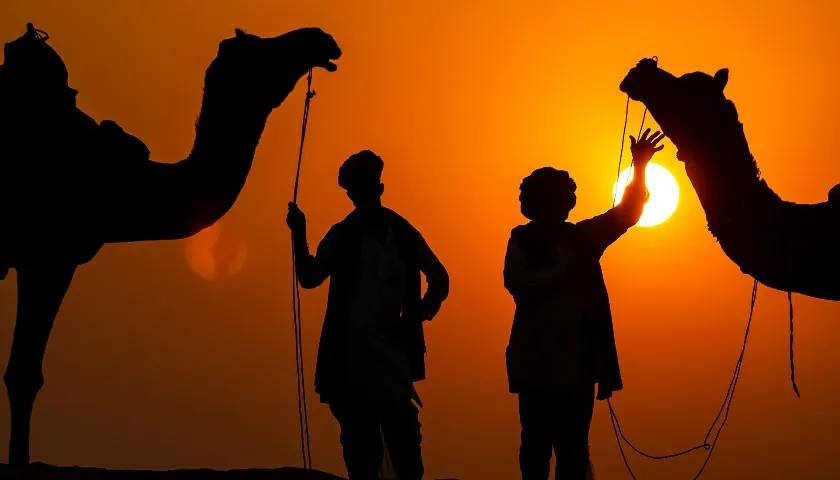 Pushkar Camel Fair Ground, Rajasthan