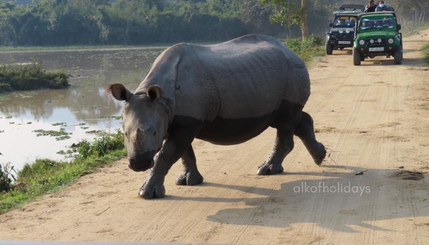 Bandhavgarh Kanha Kaziranga Tour Package