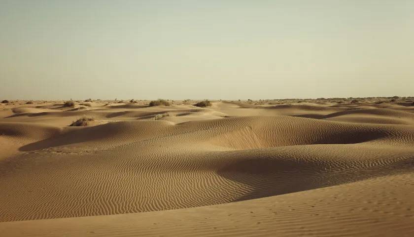 Sand Dunes, Jaisalmer