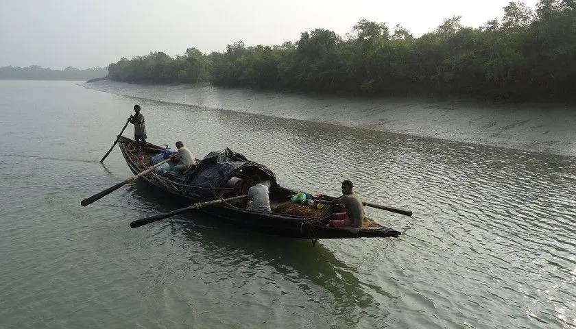 sundarban-national-park-tour-packages