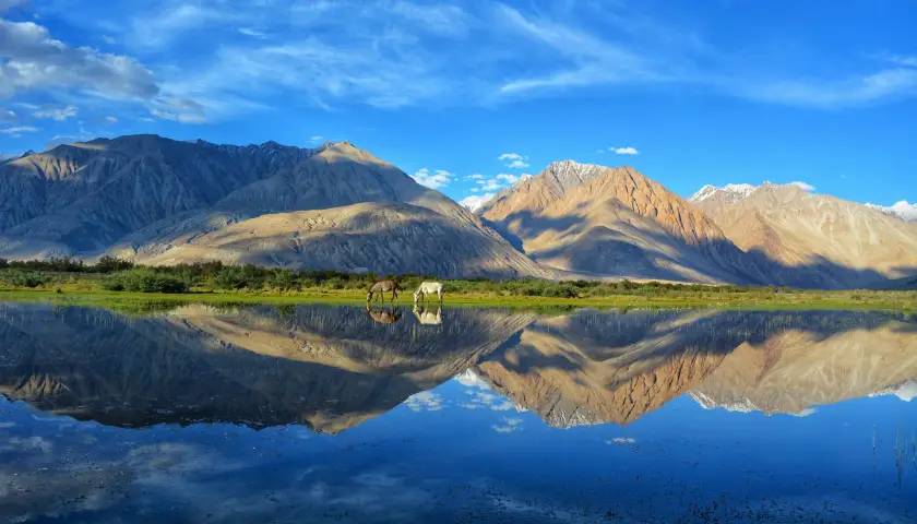 Pangong TSO Lake, Ladakh