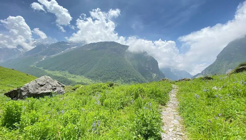 valley-of-flowers-national-park