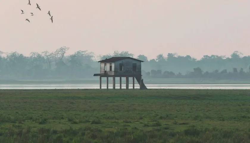 Watch Tower Kaziranga